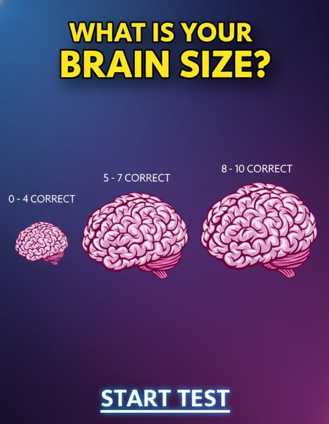Test the size of your brain!