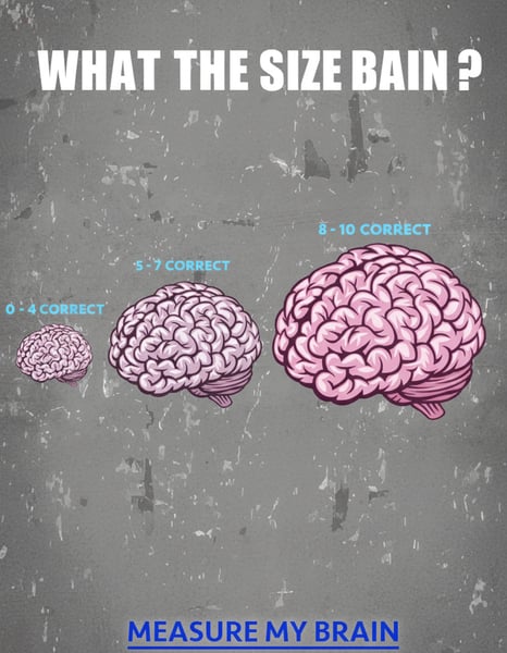 The size of the brain is important.