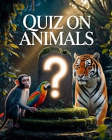 Trivia